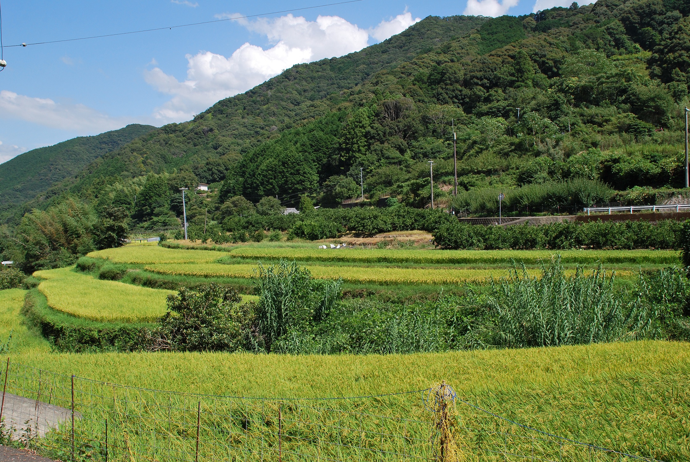 タイトル画像