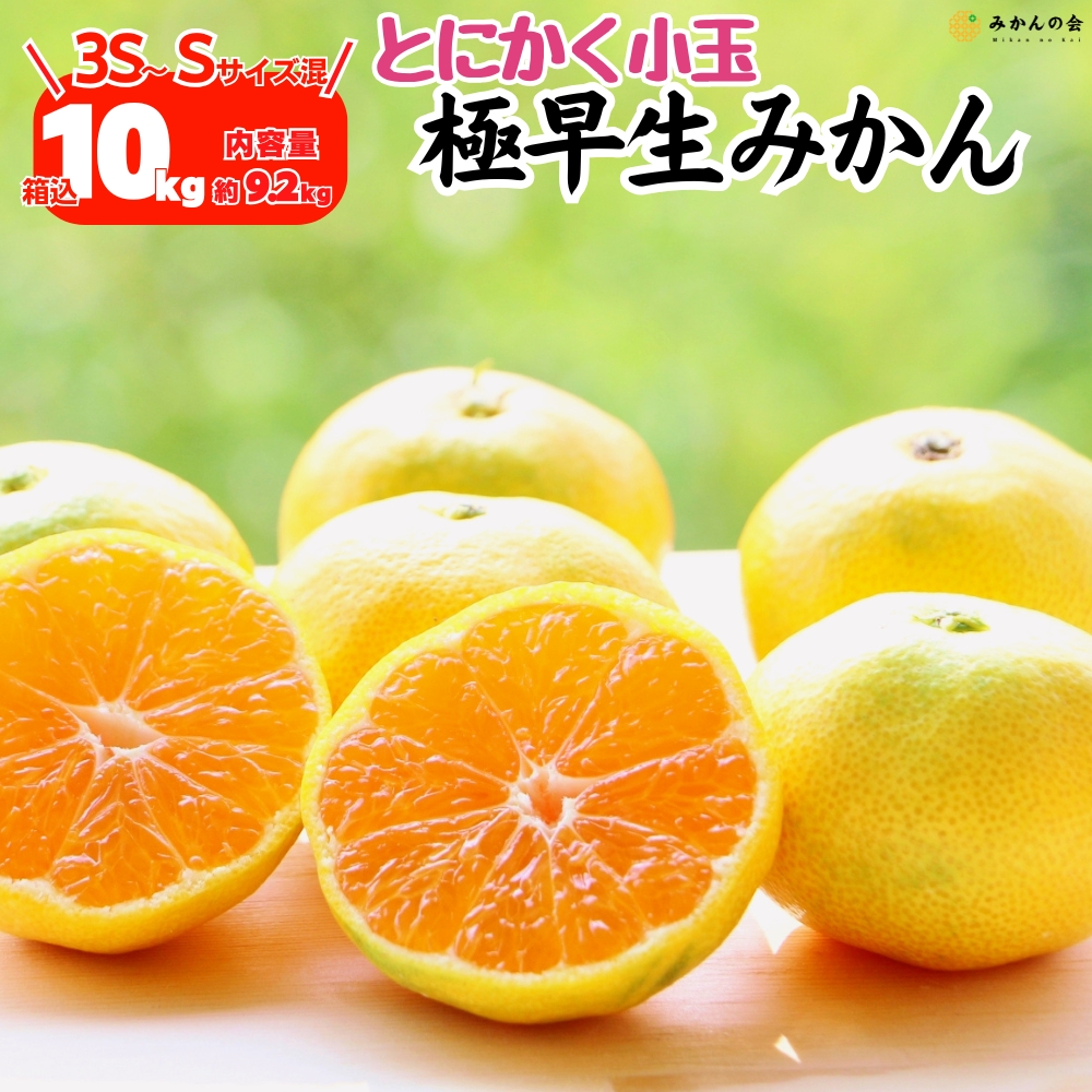 極早生 みかん 小玉 箱込 10kg 7.5kg 5kg 2.5kg 3S〜Sサイズ混合 秀優 