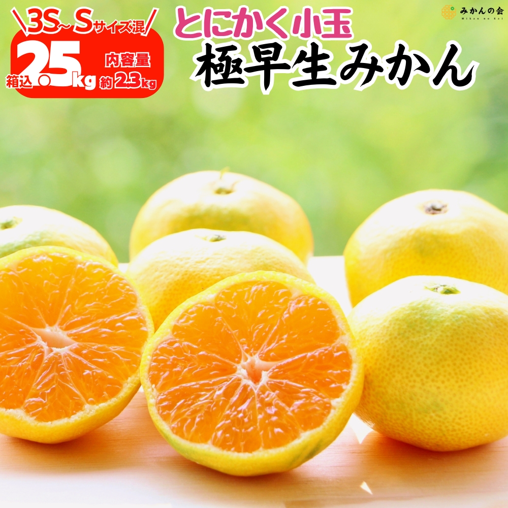 有田みかんのおすすめ人気商品一覧 通販 - Yahoo!ショッピング