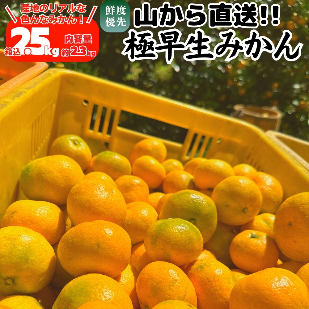 有田みかん 10kgのおすすめ人気商品一覧 通販 - Yahoo!ショッピング