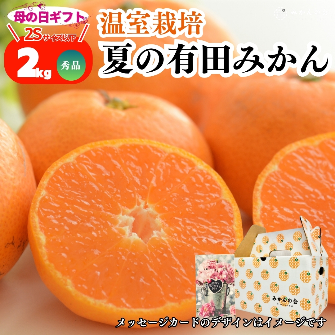 みかん 小玉のおすすめ人気商品一覧 通販 - Yahoo!ショッピング