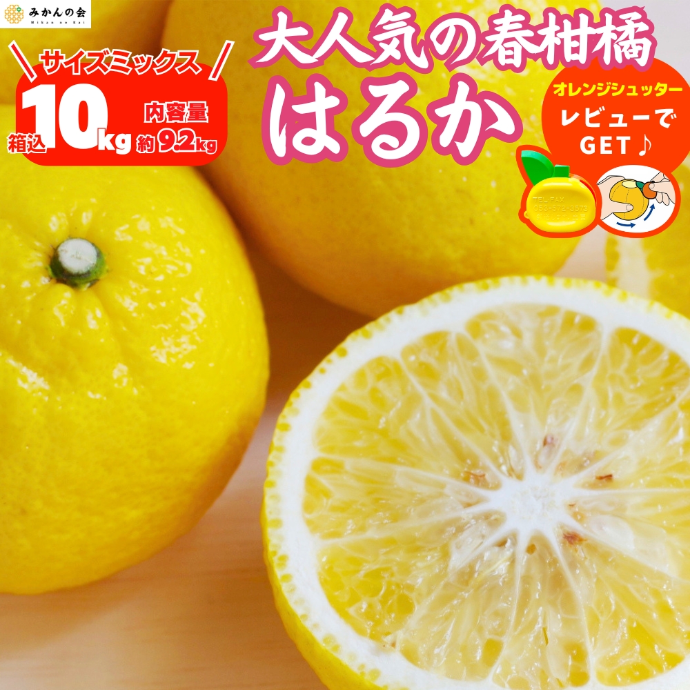はるか みかんの商品一覧 通販 - Yahoo!ショッピング