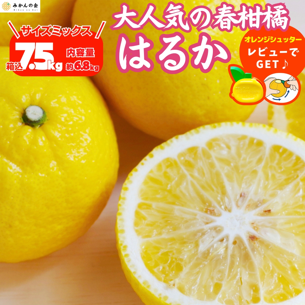 はるかのおすすめ人気商品一覧 通販 - Yahoo!ショッピング