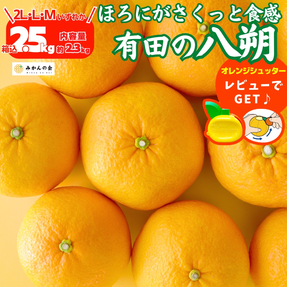 ポメロ（フルーツ） | 食品 のおすすめ人気商品一覧 通販 - Yahoo