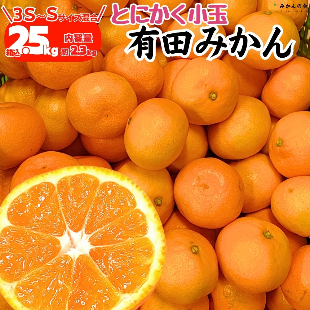 みかん sサイズのおすすめ人気商品一覧 通販 - Yahoo!ショッピング