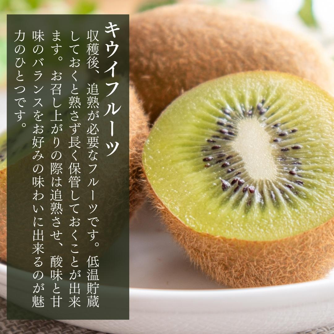 タイトル画像