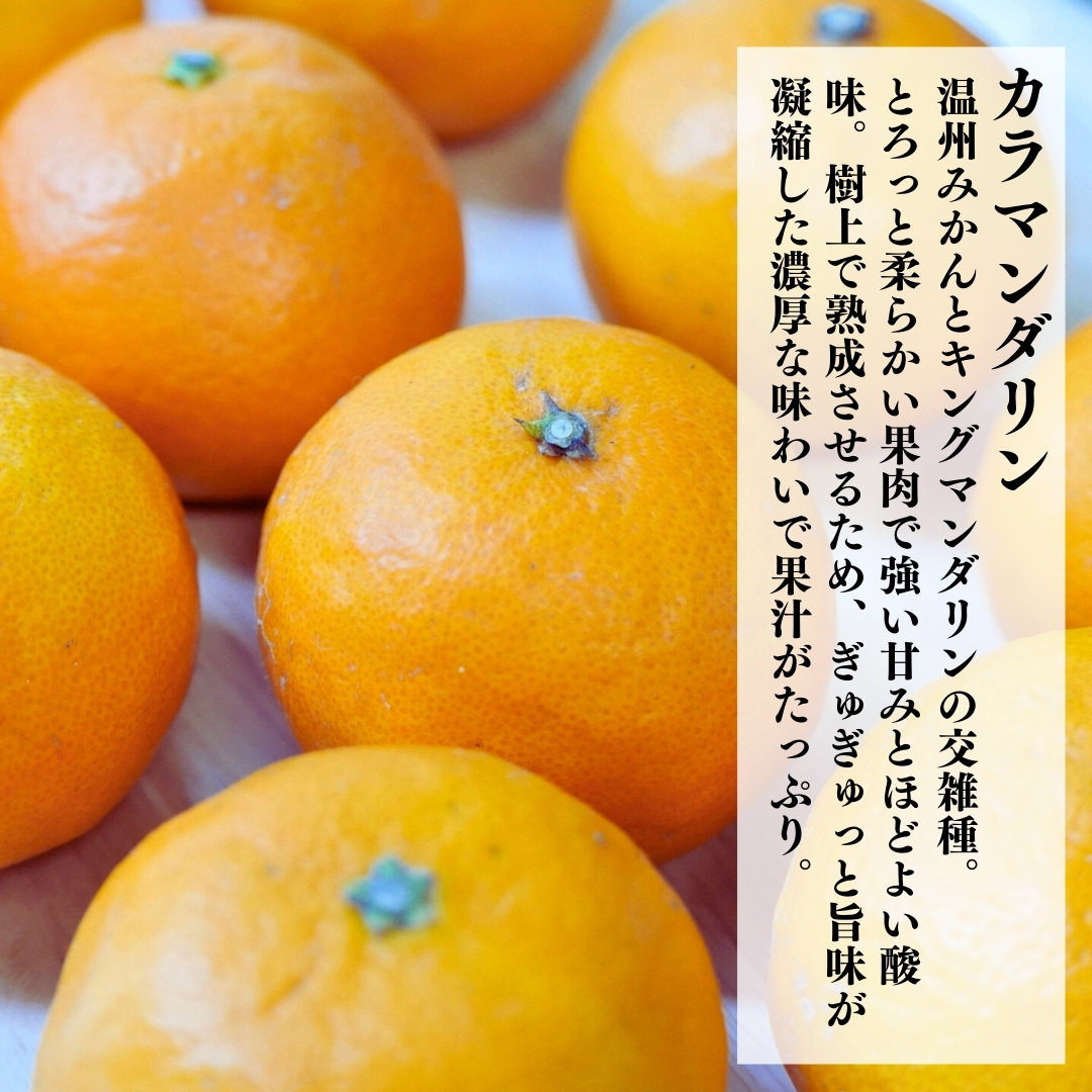 タイトル画像