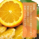 タイトル画像