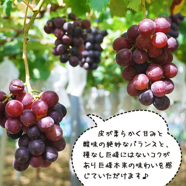 タイトル画像