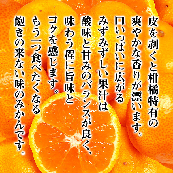 タイトル画像