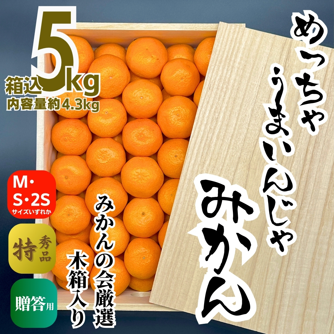 有田みかん 糖度の高い一口サイズみかん　2S　5キロ 2ケース 前回即完売】糖度最高クラス！濃い味好きのための有田みかん 5キロ箱