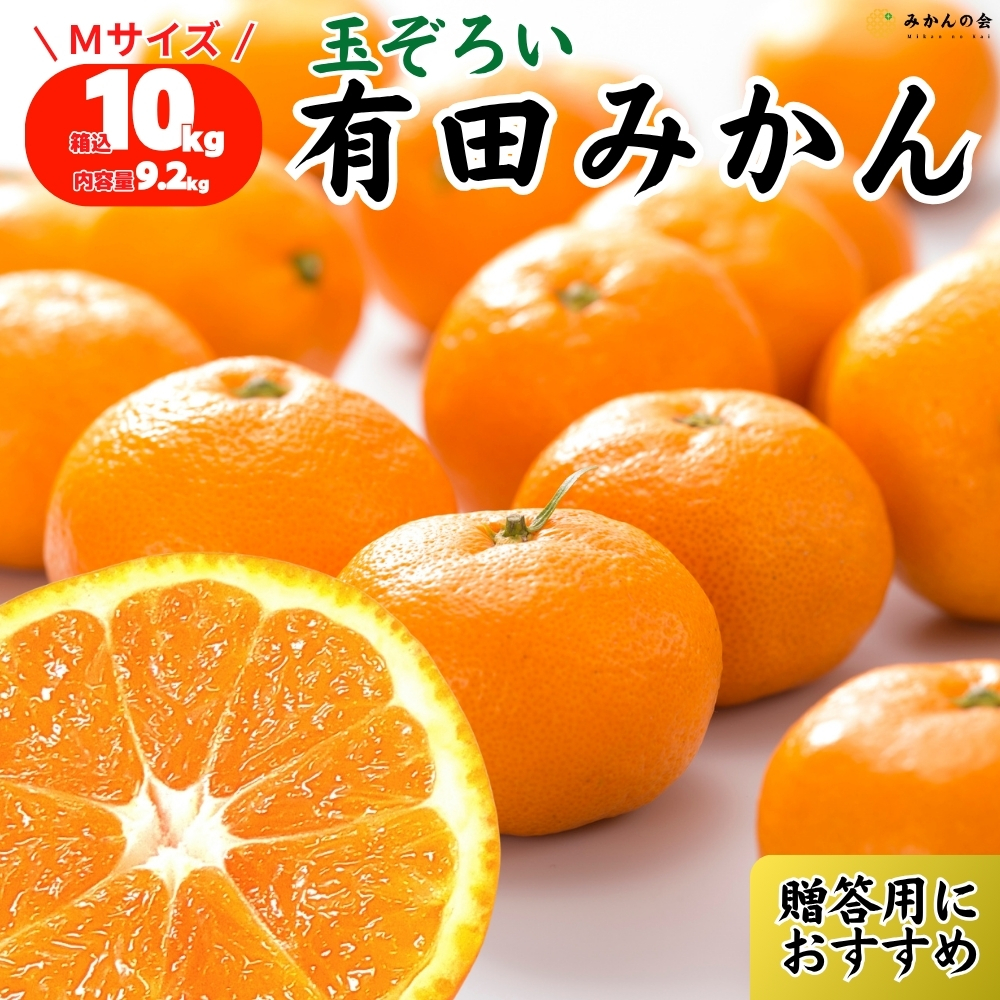 みかん sサイズのおすすめ人気商品一覧 通販 - Yahoo!ショッピング