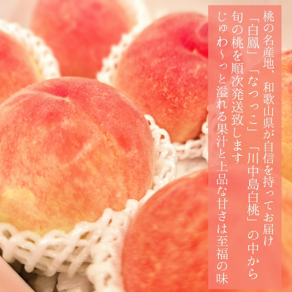 タイトル画像