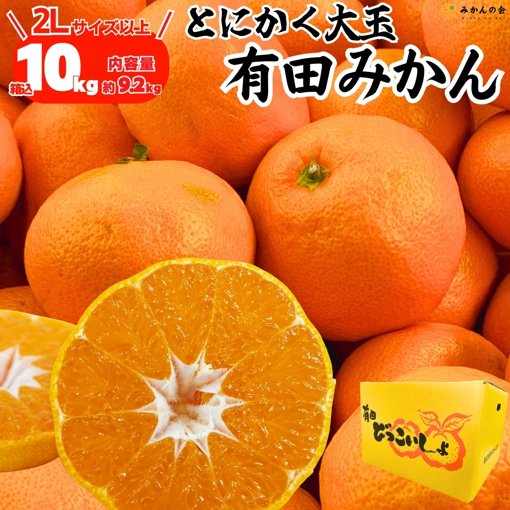 有田みかん 10kgのおすすめ人気商品一覧 通販 - Yahoo!ショッピング