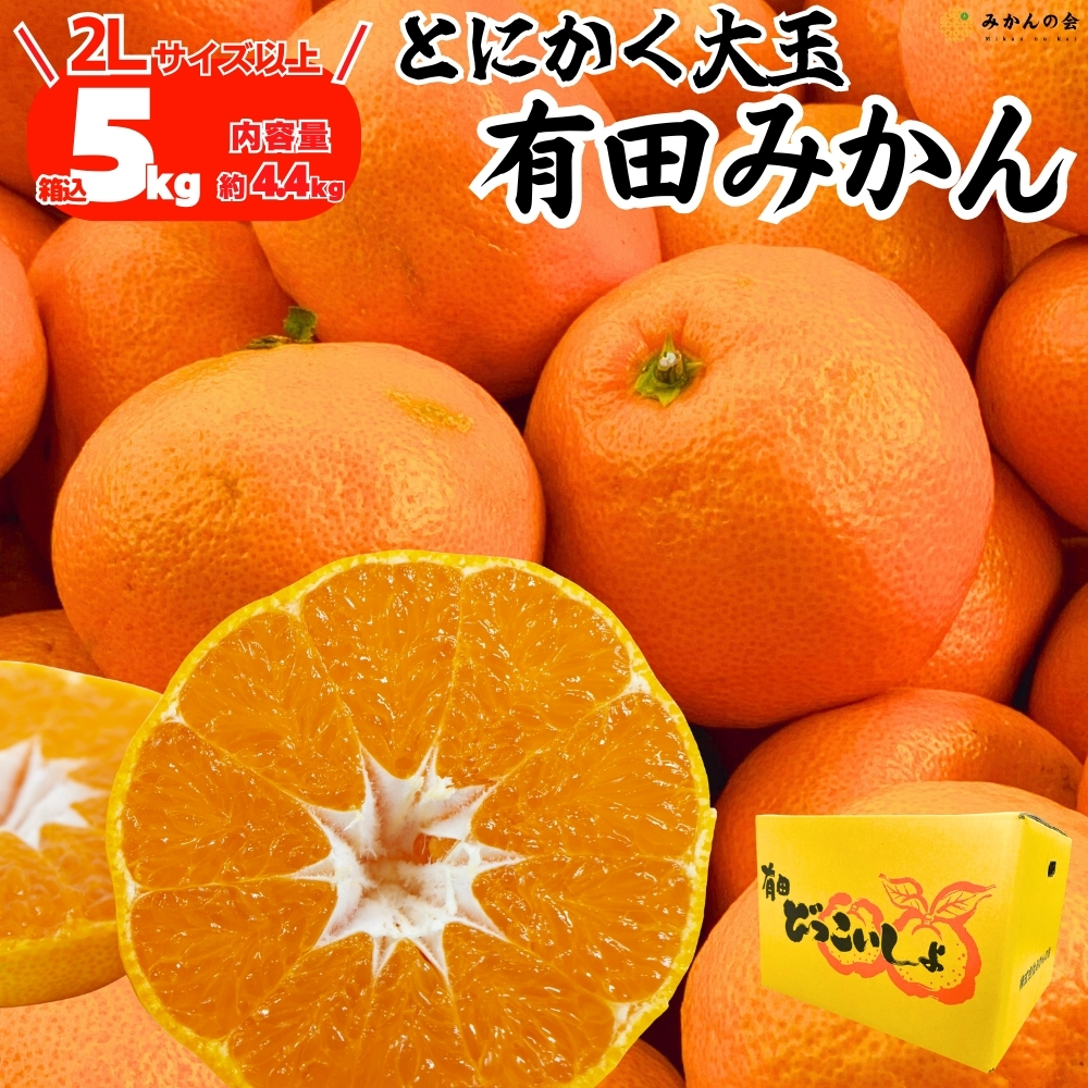 有田みかん 10kgの商品一覧 通販 - Yahoo!ショッピング