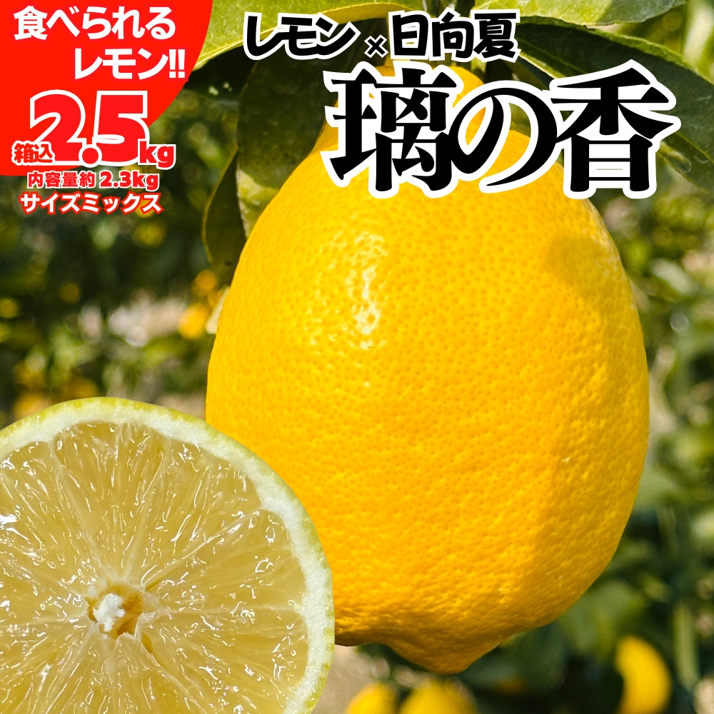 株式会社 みかんの会 - レモン（檸檬）｜Yahoo!ショッピング