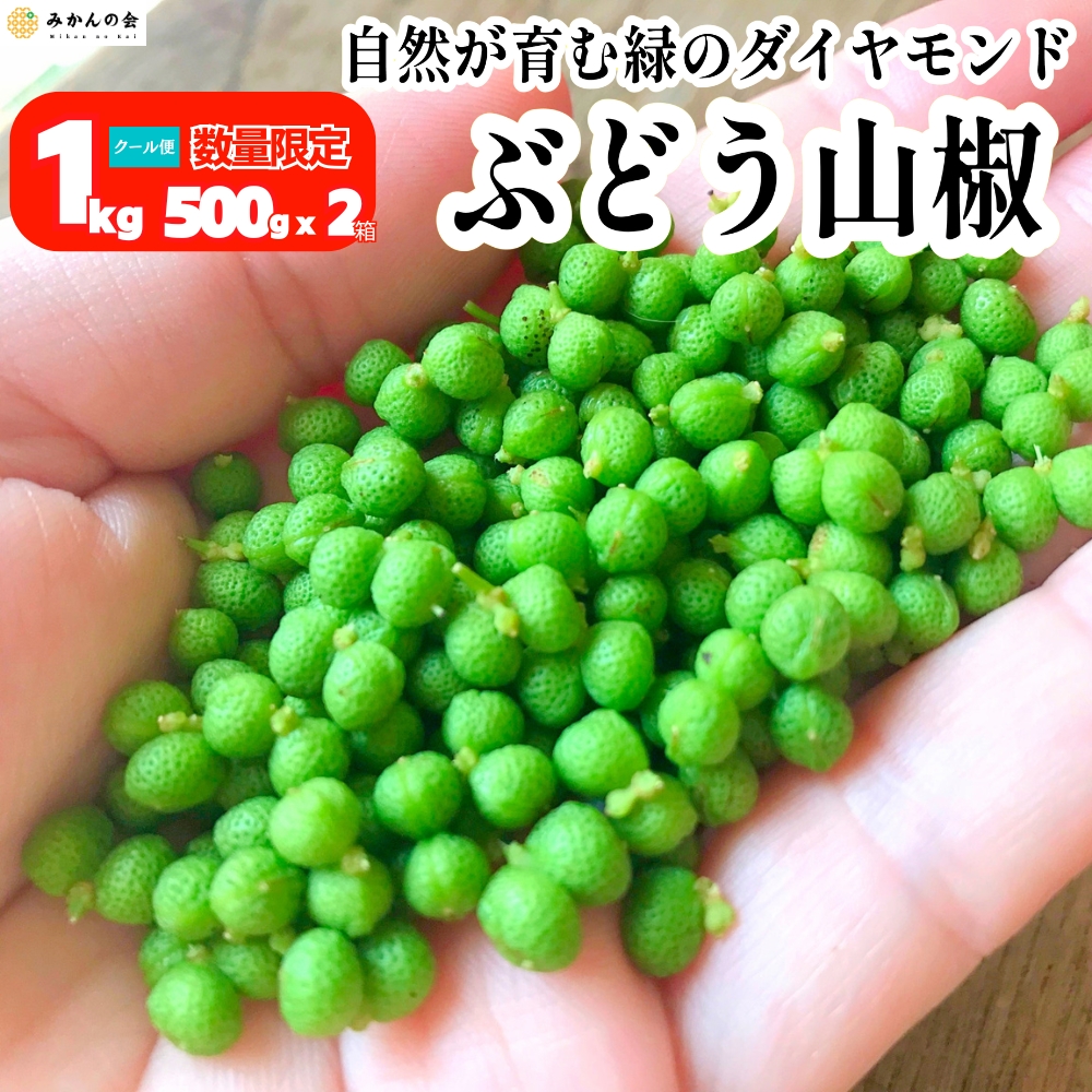 送料無料 ぶどう山椒 1kg 500g 山椒 薬味 スパイス ペッパー 佃煮
