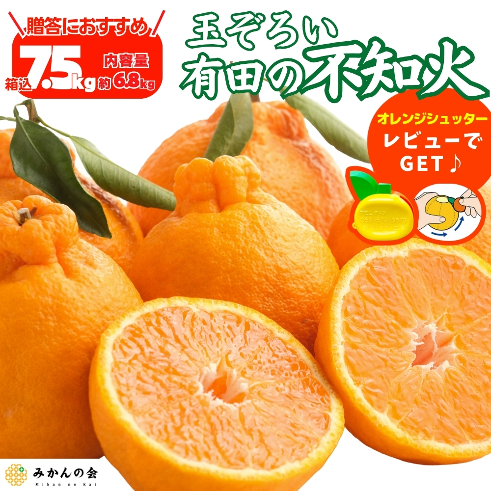 ぽーちゃん様湘南ゴールド＆ハネ出しキウイ＆不知火詰め合わせ5kg 不知火 5kgのおすすめ人気商品一覧 通販 - Yahoo!ショッピング