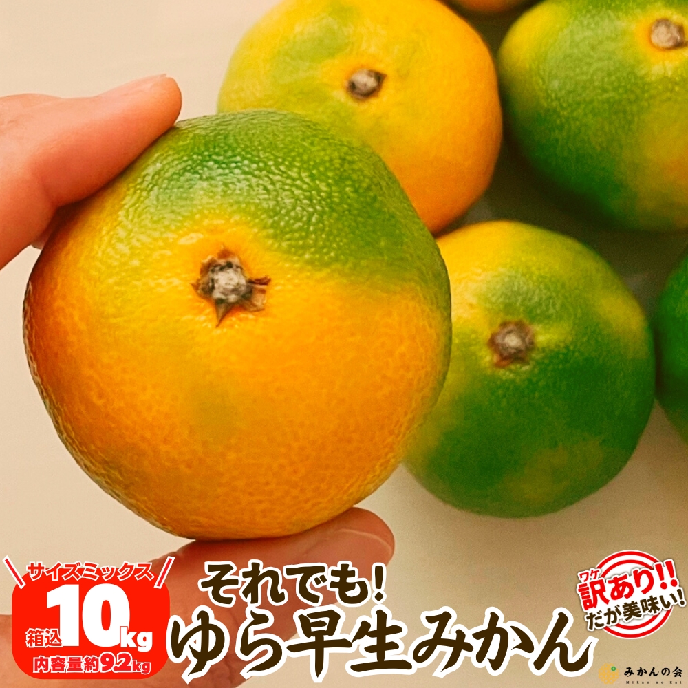 有田みかんのおすすめ人気商品一覧 通販 - Yahoo!ショッピング
