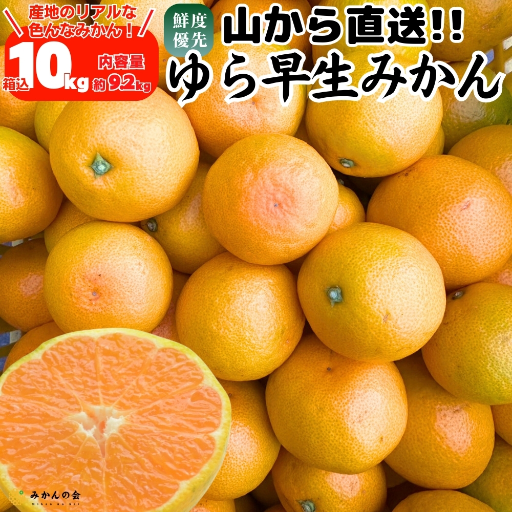ゆら早生みかんのおすすめ人気商品一覧 通販 - Yahoo!ショッピング