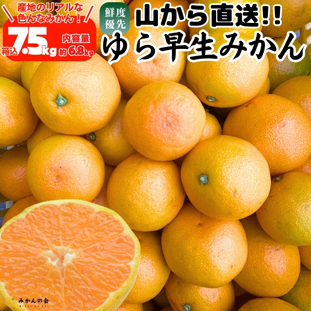 有田みかん 10kgのおすすめ人気商品一覧 通販 - Yahoo!ショッピング