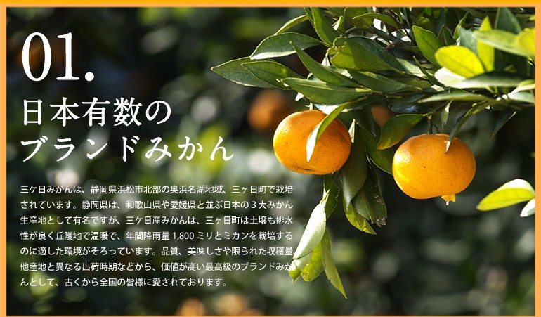 日本有数のブランドみかん