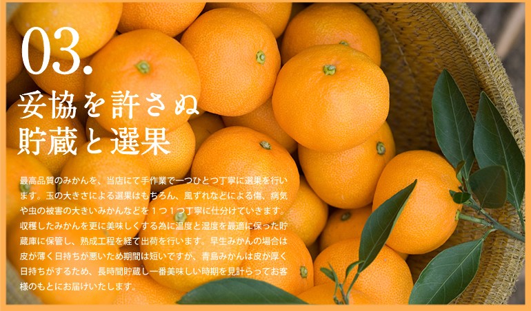 妥協を許さぬ貯蔵と選果