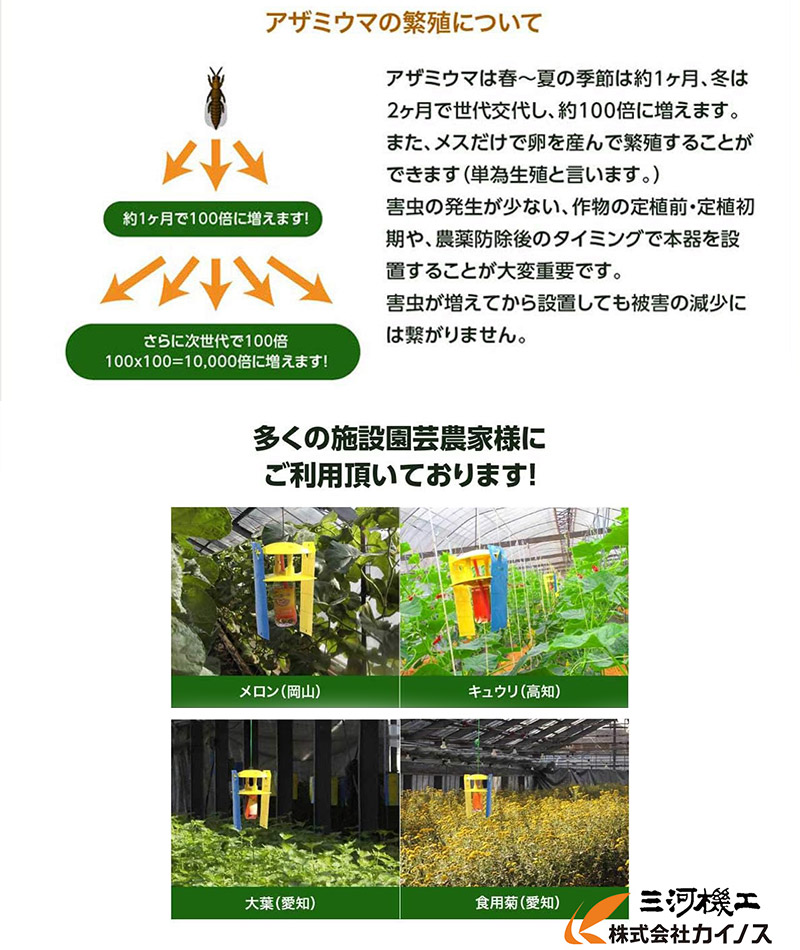 10本セット】みのる産業「アザミン」活性式アザミウマ予察捕虫器 CAZ