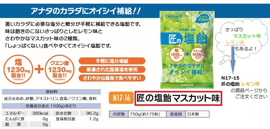 熱中症対策 匠の塩飴 マスカット味 750g N17 16 軽減税率 三河機工 カイノス ヤフー店 通販 Yahoo ショッピング