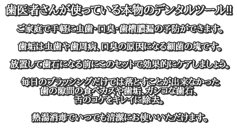 オーラルケア 087 003 2865 マイキーズ デンタルツール6点セット 検査液付