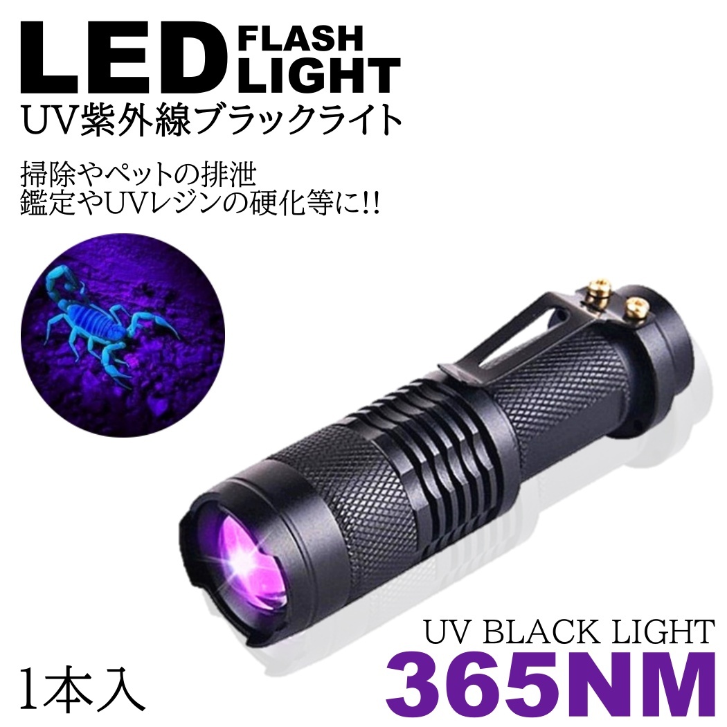 LEDライト UV LED ブラックライト 蓄光 ネイル コンパクト ブラック