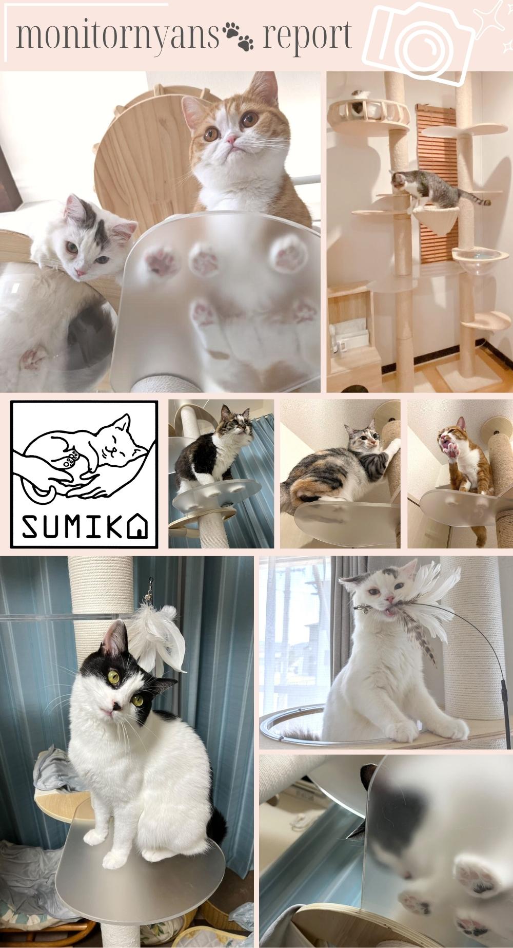 SUMIKA キャットタワー 追加パーツ スケルトンステップ 2枚セット