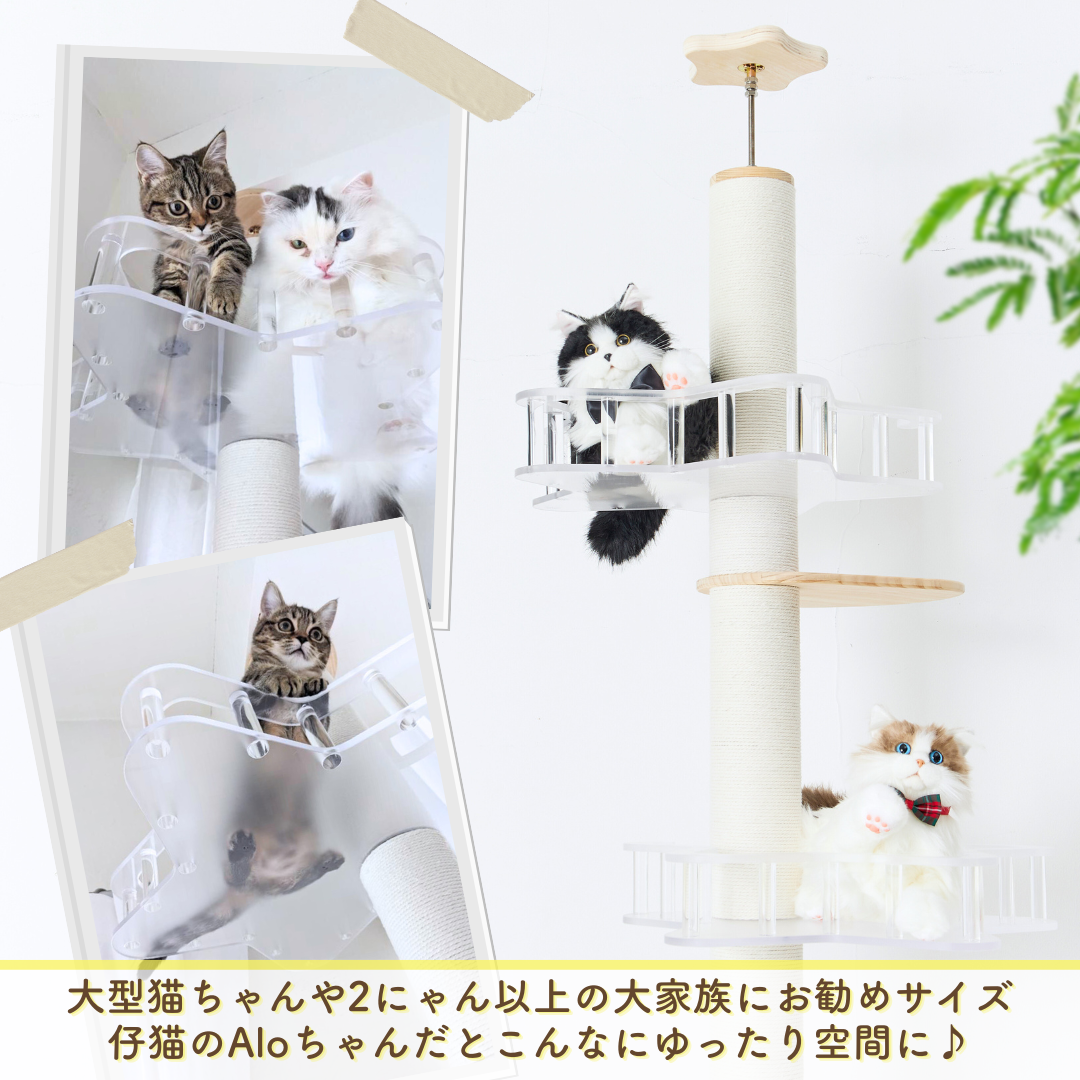 SUMIKA キャットタワー キャッツスター クリア Lサイズ