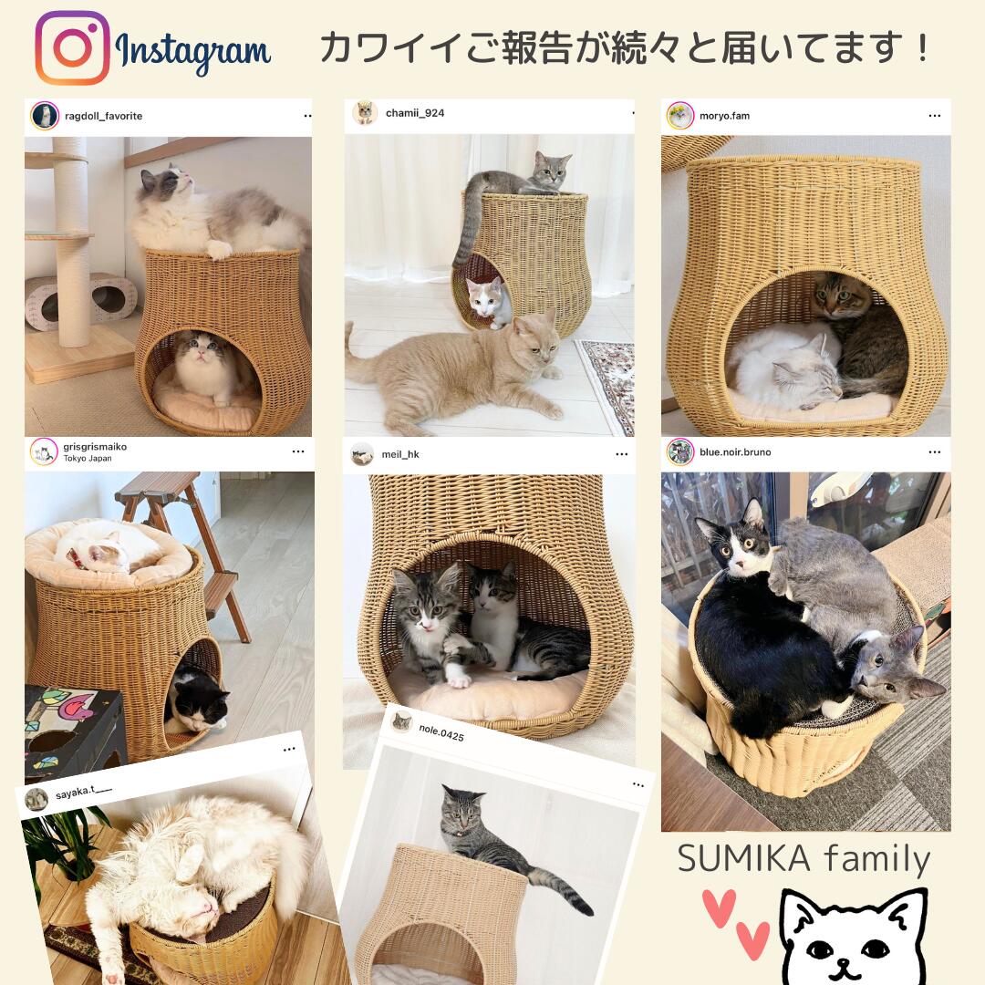 猫 ベッド 爪とぎ ハウス おしゃれ ドーム ペット キャットタワー つめとぎ 爪研ぎ 洗える ラタン 2WAY SUMIKA ちぐニャン :  at-ratanto-chigunyan : ミラノ2 - 通販 - Yahoo!ショッピング