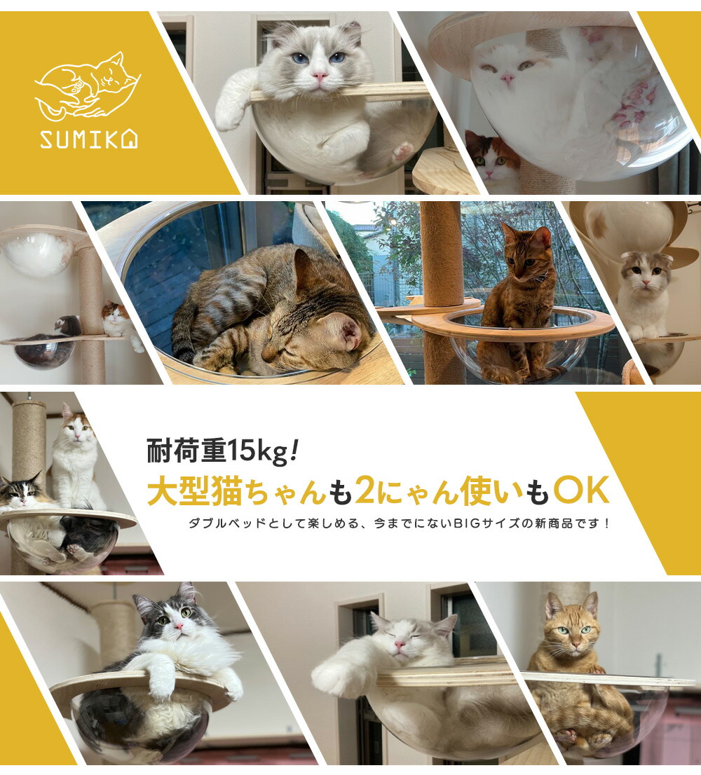 キャットタワー ベッド スケルトン 透明 ボウル 大きい ハンモック 猫 