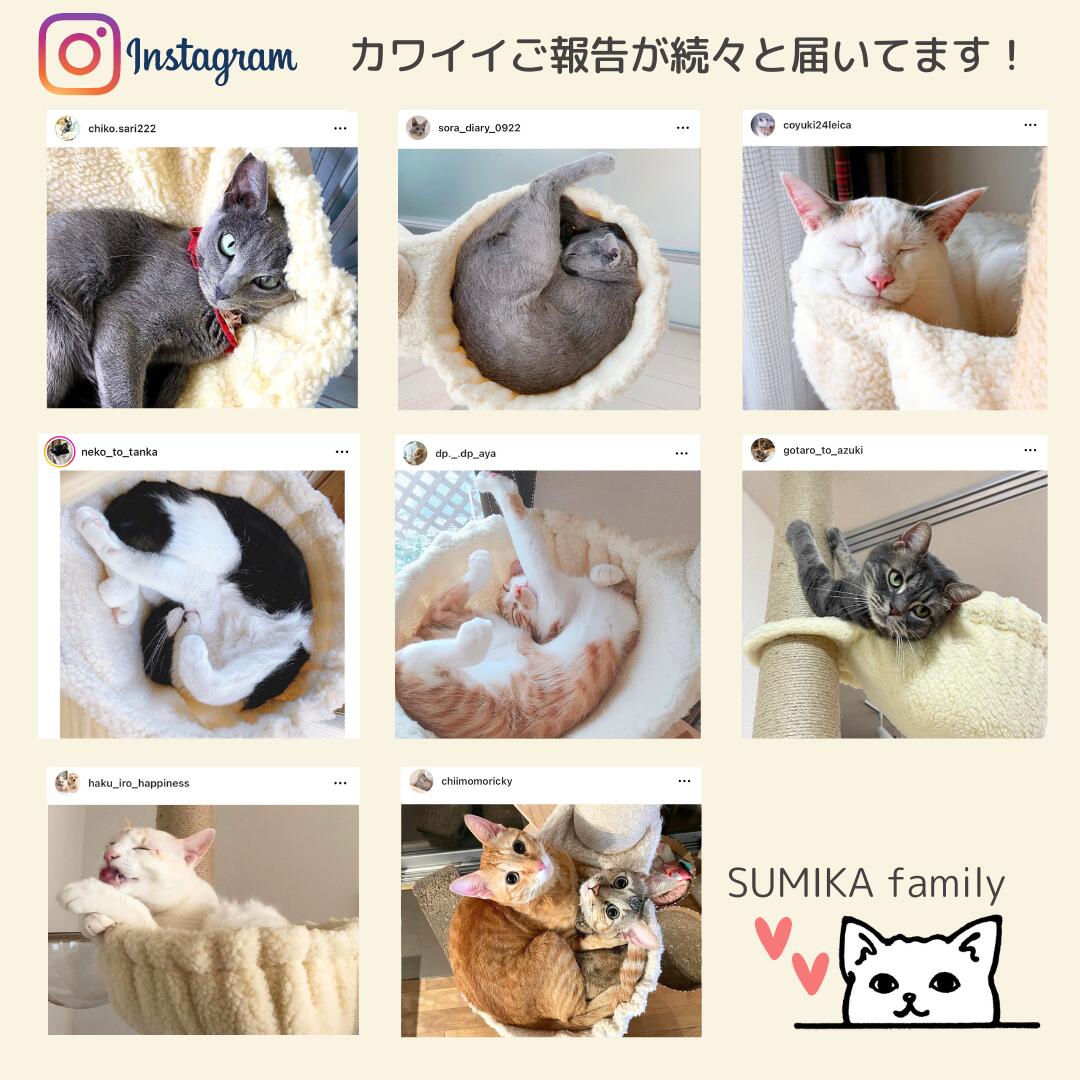 SUMIKA 福袋 猫 木製突っ張り型タワー シープボアベッド