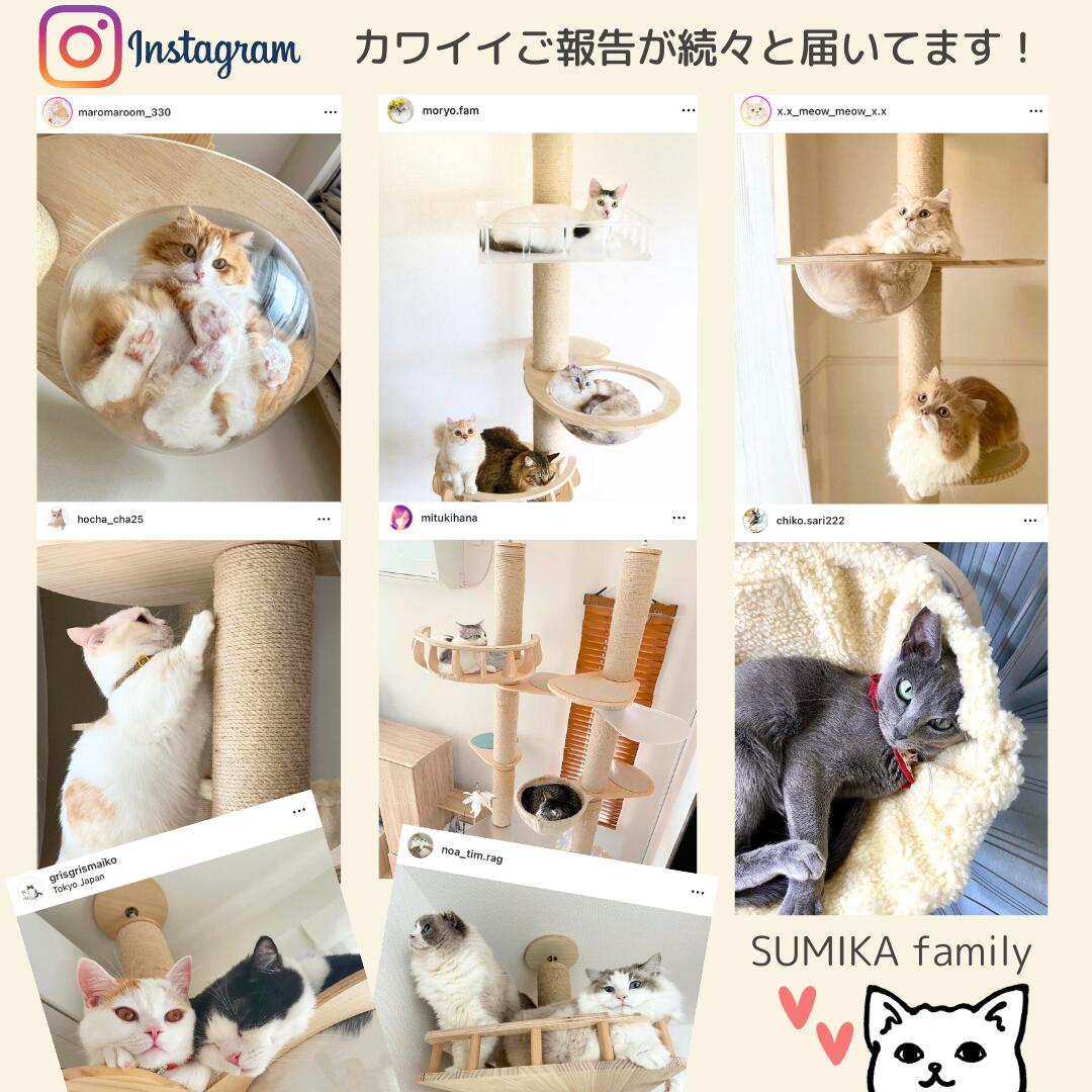 SUMIKA 福袋 猫 木製突っ張り型タワー