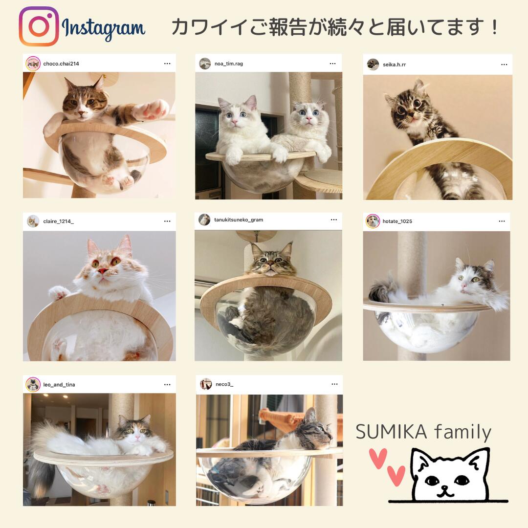 SUMIKA 猫 木製突っ張り型タワー スクラッチベッド UFO