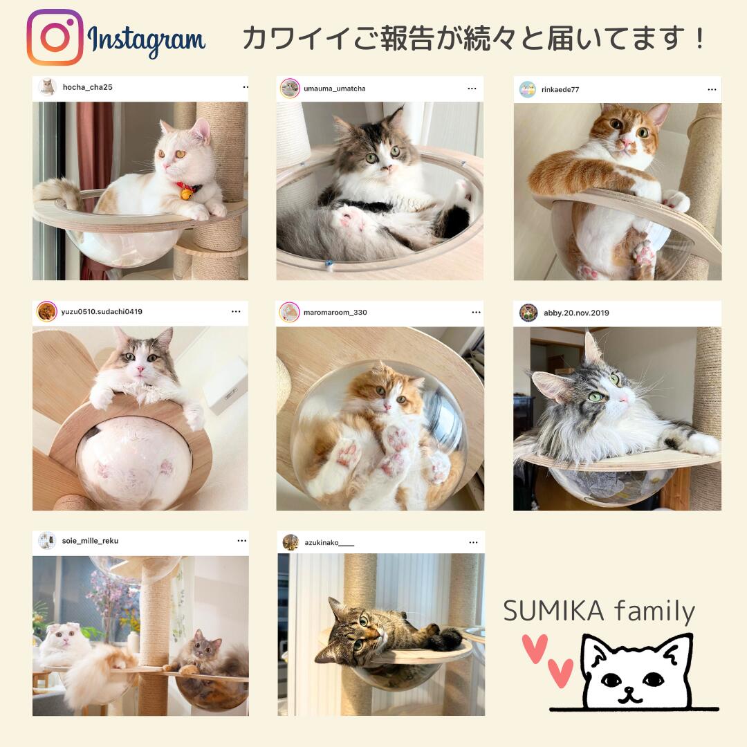 SUMIKA 福袋 猫 木製突っ張り型タワー スクラッチベッド UFO