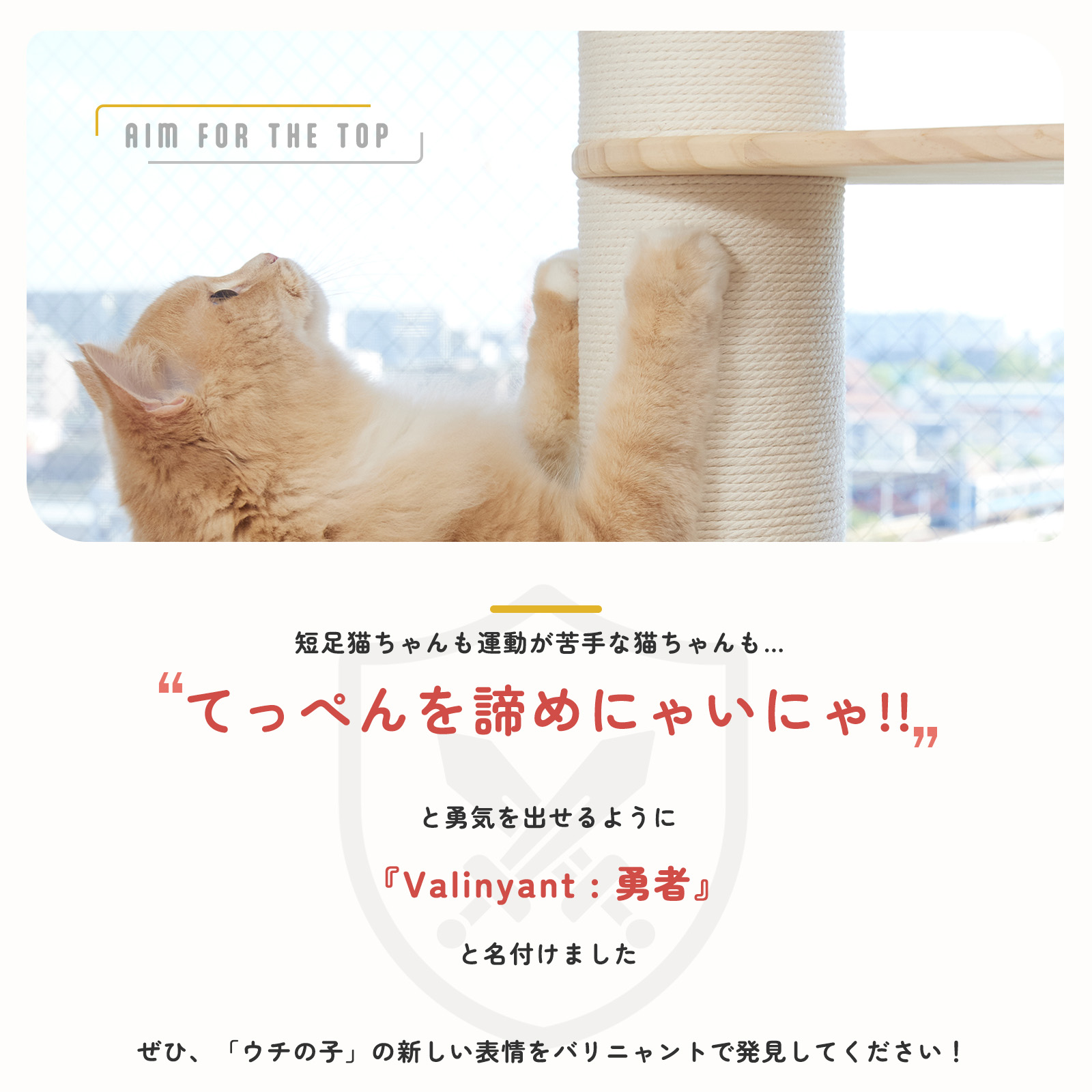 SUMIKA 短足猫用キャットタワー Valinyant バリニャント