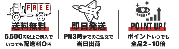 5400円以上で送料無料！午後3時までの注文は即日配達！いつでもお得なポイント２～１０倍！