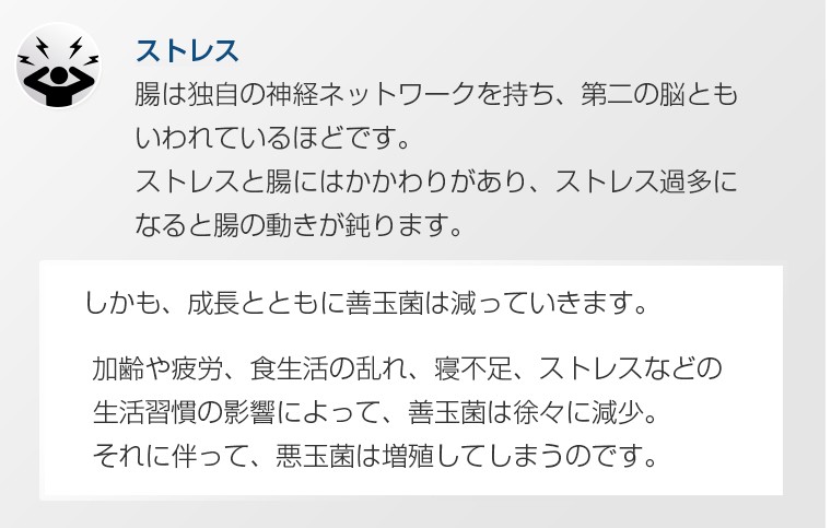 腸内環境 改善 腸内フローラ 活力 滋養 強壮 年齢 乳酸菌 菌活