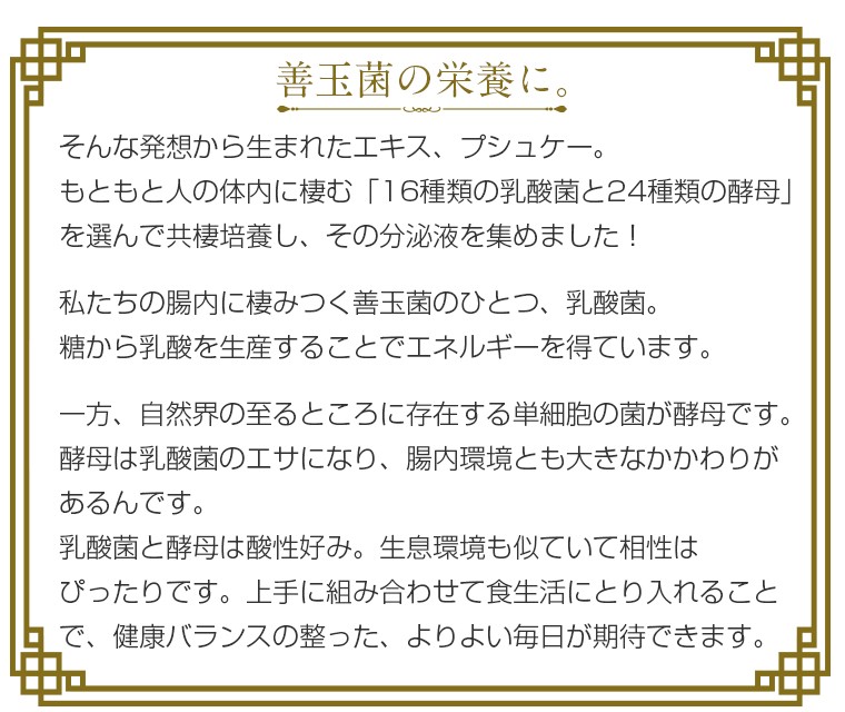 16種類の乳酸菌と24種類の酵母 プシュケー レギュラー 720ml 約36日分