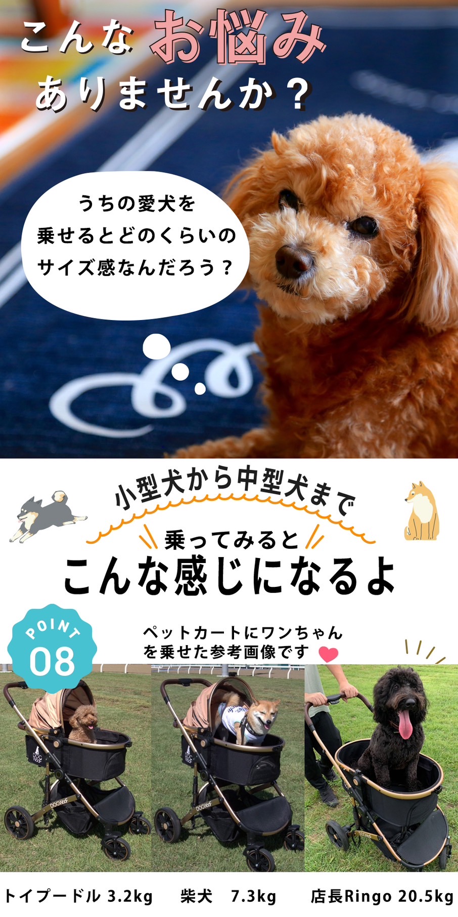 ♡即購入可♡オトク商品多数出品中!!ページ 電子辞書 中学受験には小学生用か中学生用か？ 違いを解説