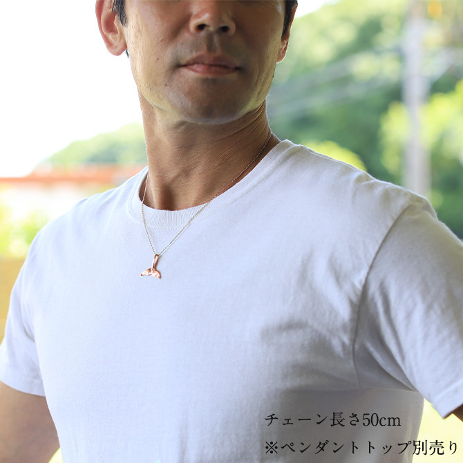 【7/21まで‼️】ピンクゴールド K14 ネックレスチェーン 訳あり 楽天市場】ピンクゴールド ネックレス 14kの通販