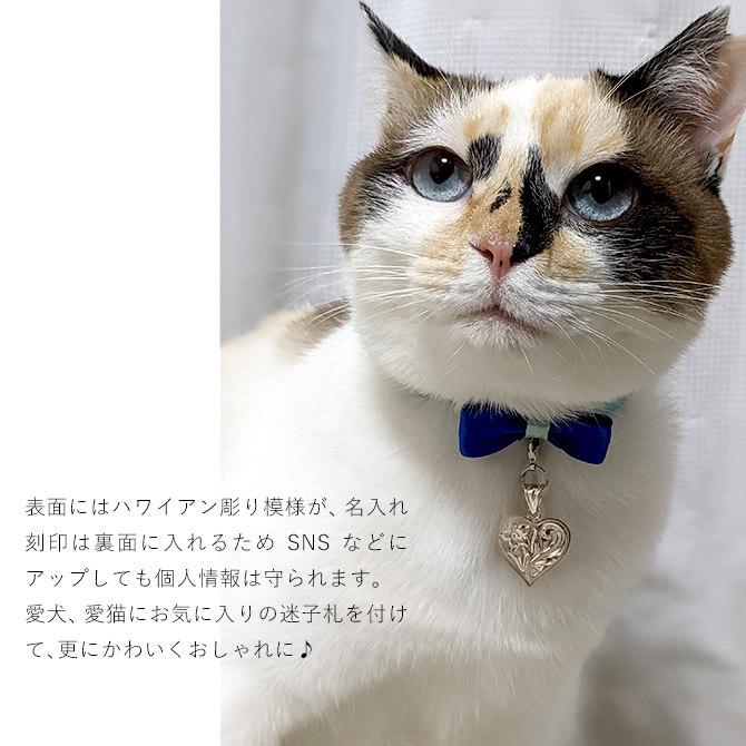 おしゃれなペットの迷子札 飼い主とおそろいのハートペンダント ハワイアンジュエリー ネーム ネコ 猫 イヌ 犬おしゃれ シルバー925 ハワジュ Sp2661 Pet ハワイアンジュエリーミリオンベル 通販 Yahoo ショッピング おしゃれなペットの迷子札 飼い主とおそろいのハートペンダント ハワイアンジュエリー ネーム ネコ 猫 イヌ 犬おしゃれ シルバー925 ハワジュ Sp2661 Pet ハワイアンジュエリーミリオンベル 通販 Yahoo ショッピング