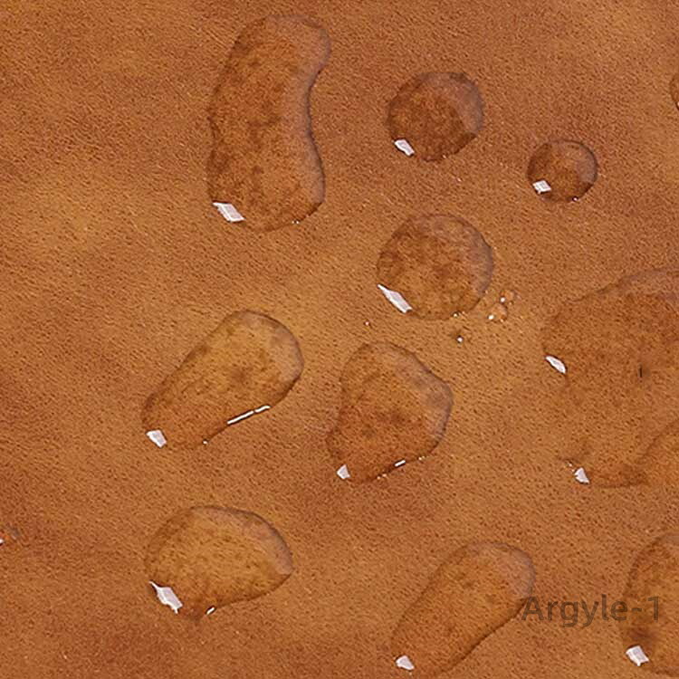 バインダー式 コレクションケース 紙幣 大容量 ディスプレイ お札