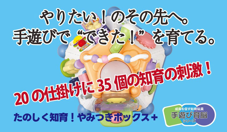 トイローヤル たのしく知育！やみつきボックス＋ プラス しかけ