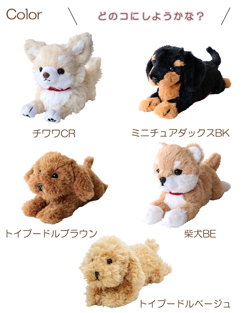 Sunlemon（サンレモン） ひざわんこSS ぬいぐるみ いぬ 犬 おもちゃ