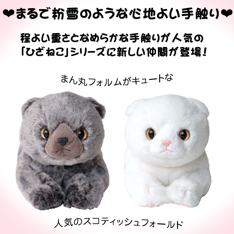 ひざねこ ぬいぐるみ 極もふ スコティッシュフォールド ホワイト